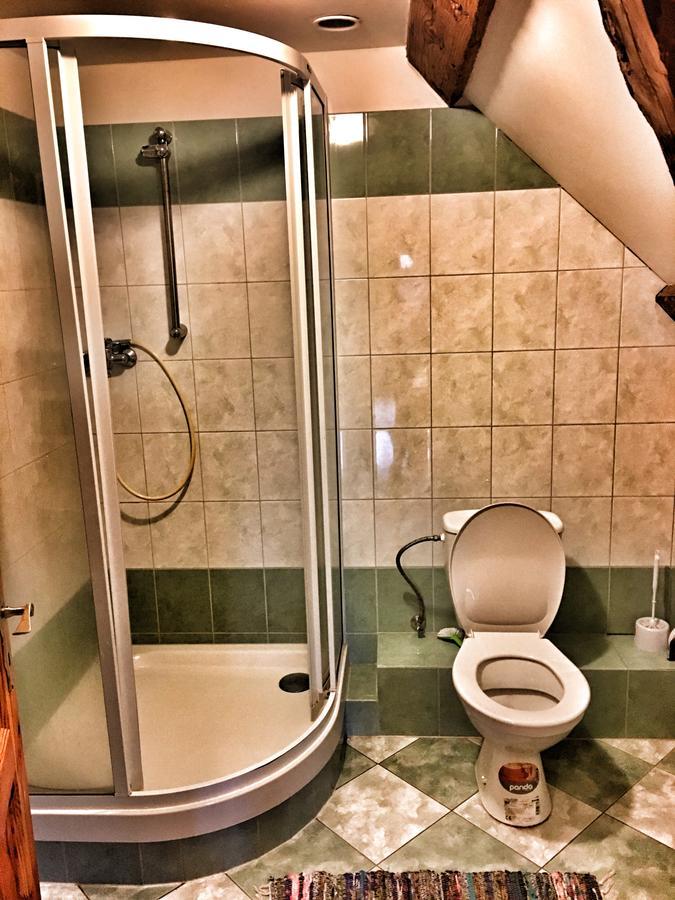 Penzion Pegas Depoltovice Nová Role 外观 照片