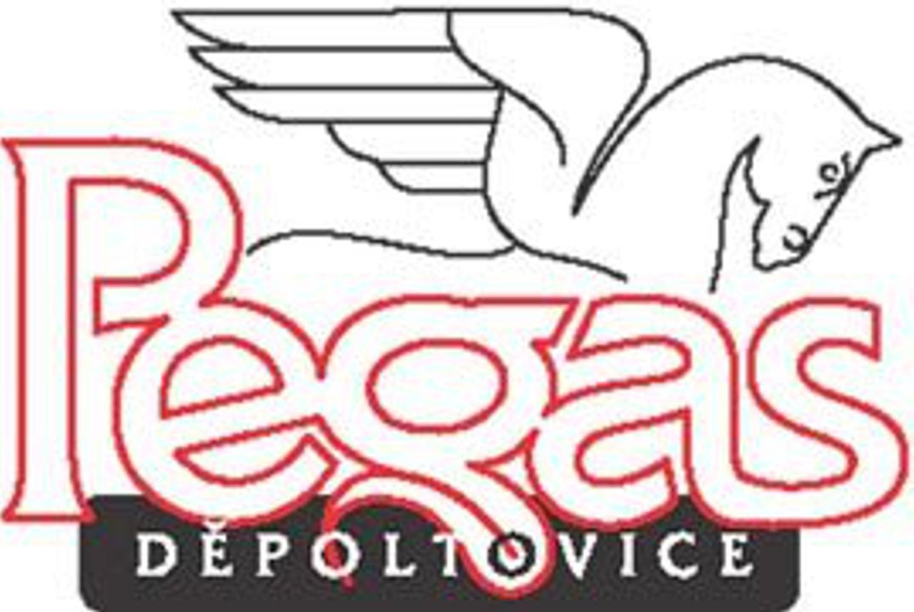 Penzion Pegas Depoltovice Nová Role 外观 照片