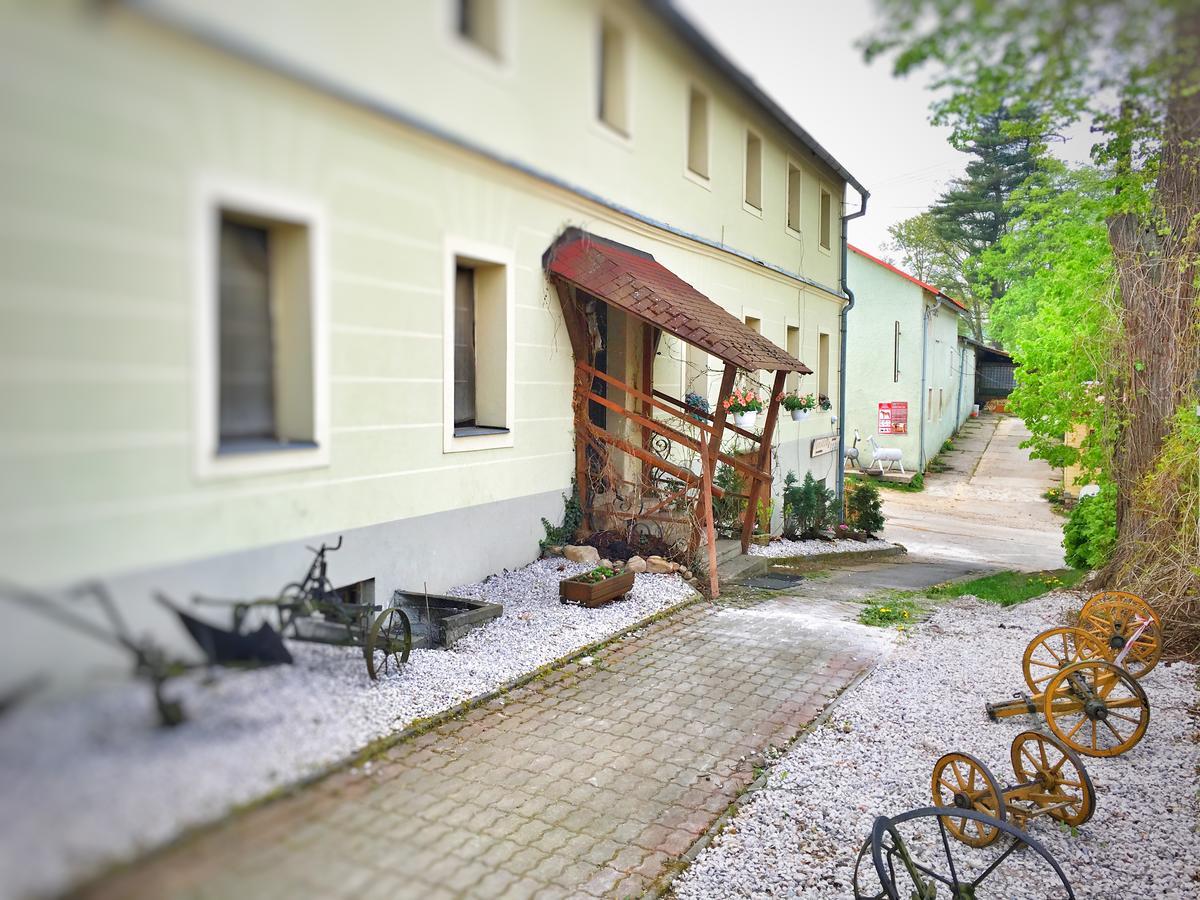 Penzion Pegas Depoltovice Nová Role 外观 照片