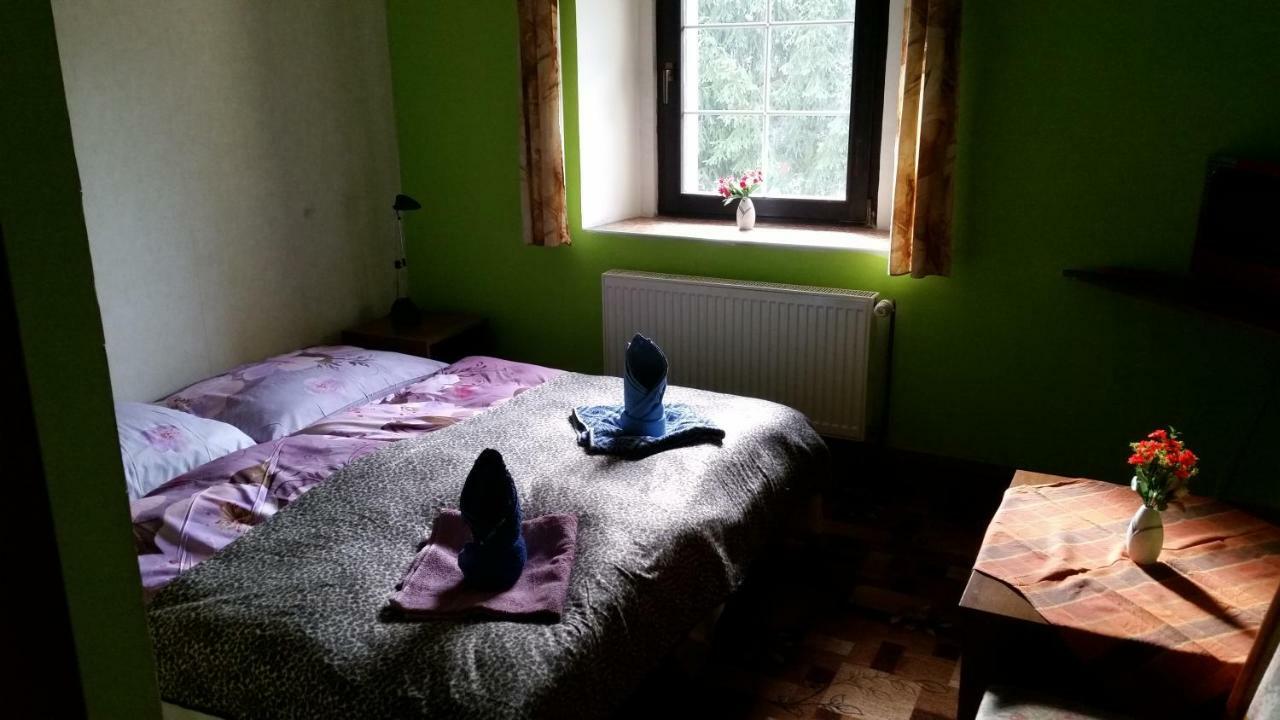 Penzion Pegas Depoltovice Nová Role 外观 照片