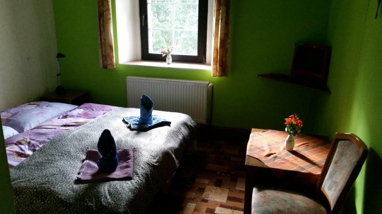 Penzion Pegas Depoltovice Nová Role 外观 照片