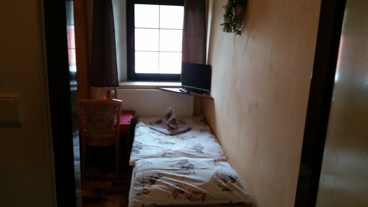 Penzion Pegas Depoltovice Nová Role 外观 照片