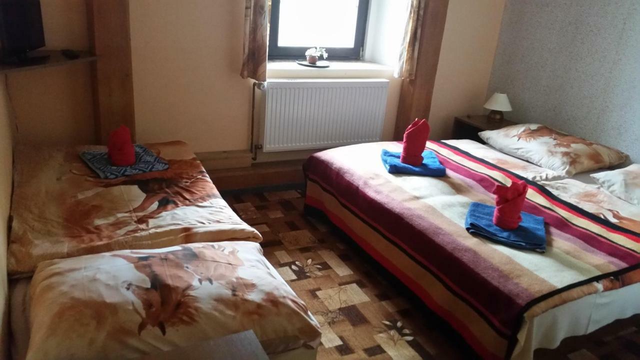 Penzion Pegas Depoltovice Nová Role 外观 照片